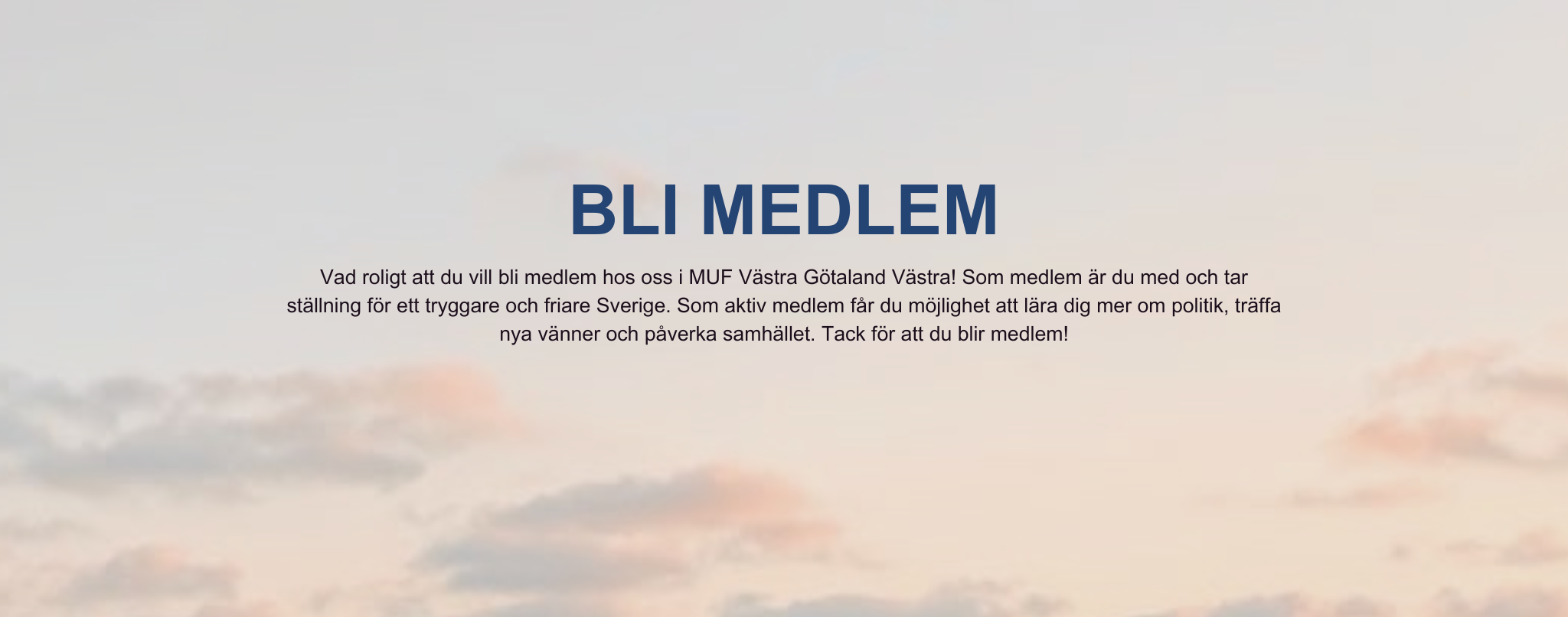 BLI MEDLEM